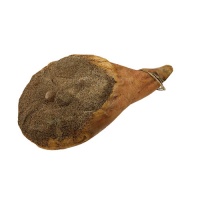 crudo_toscano